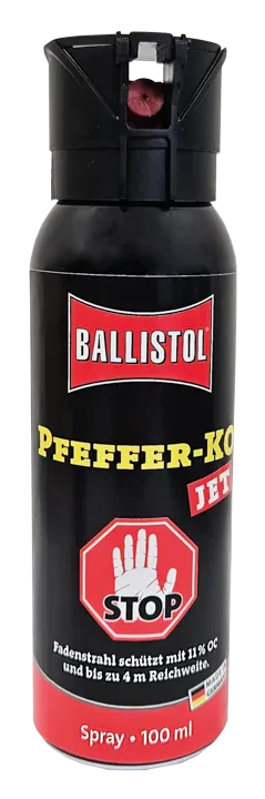 Vorschaubild 4