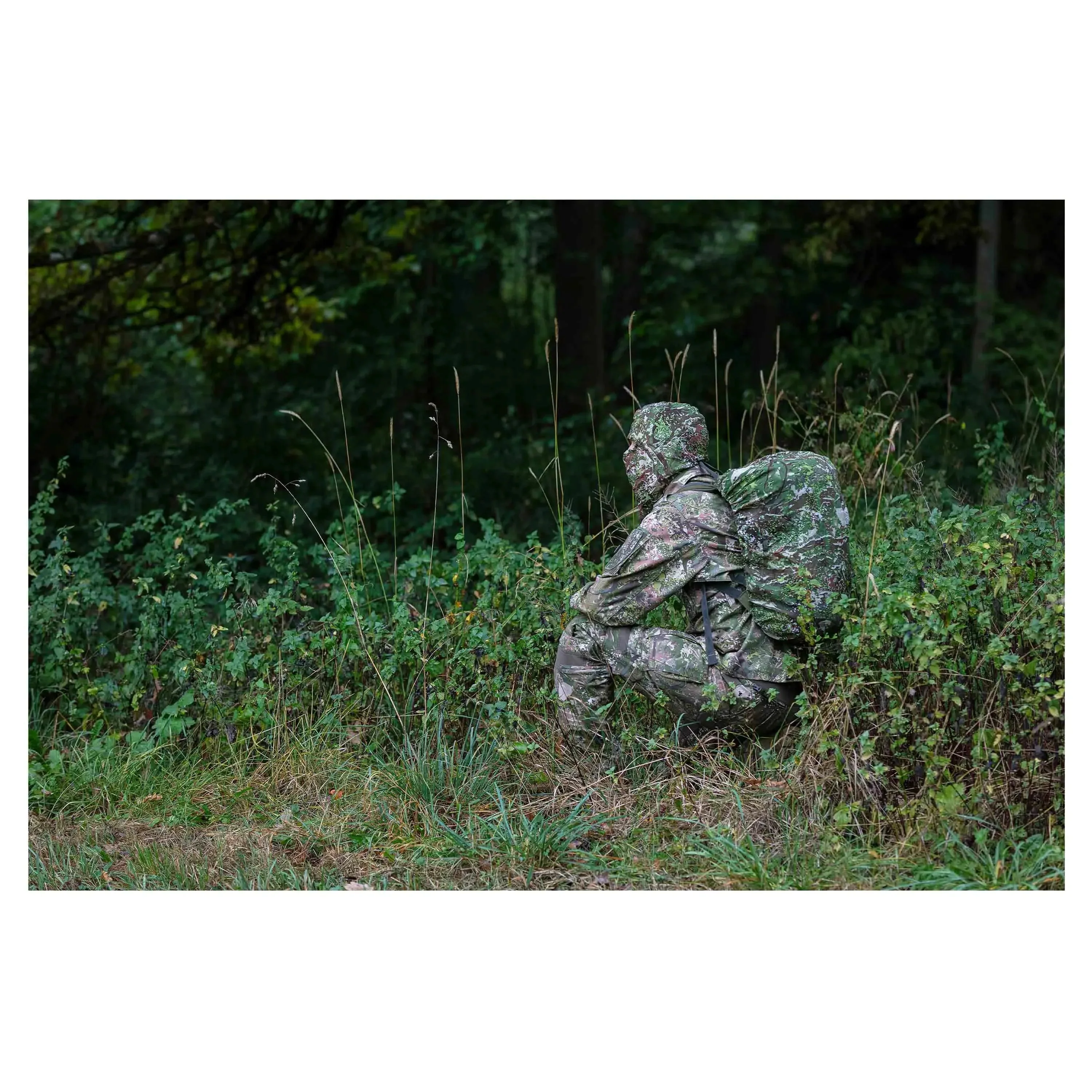 Vorschaubild 5